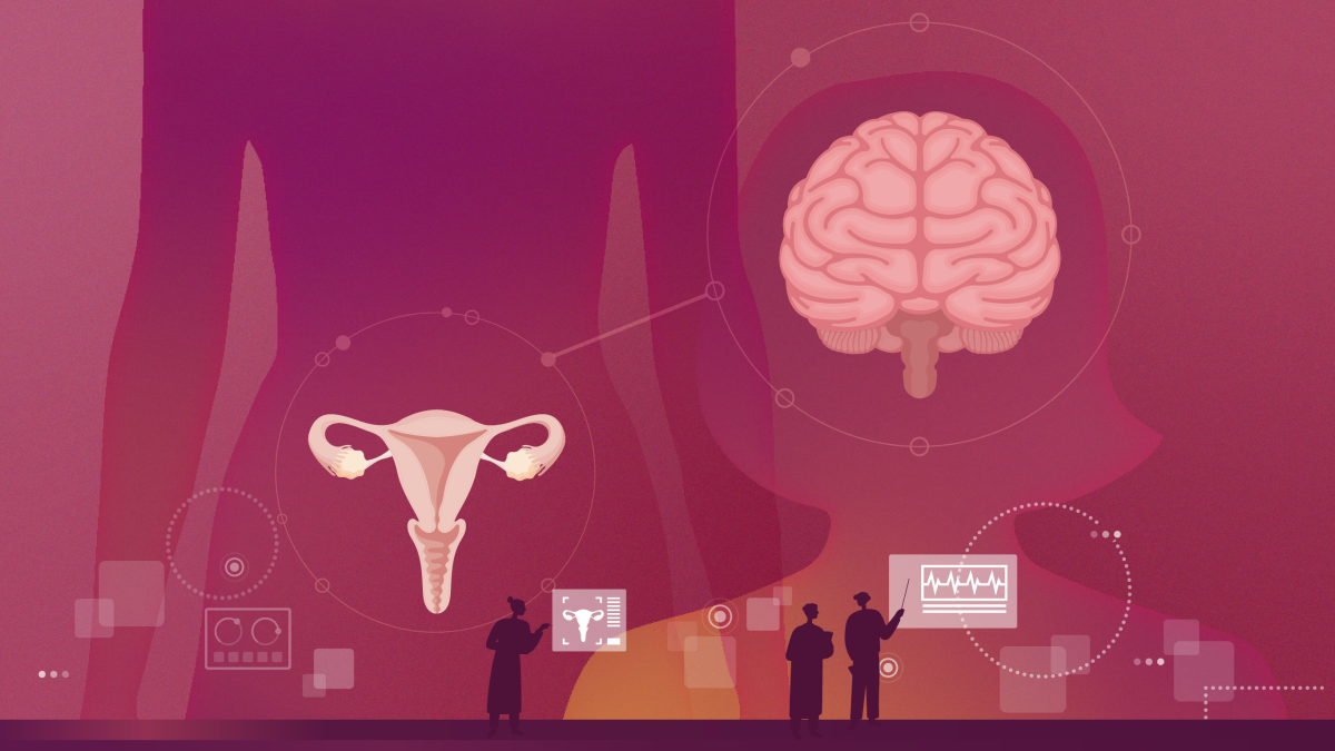 ASU research finds link between removal of uterus, brain function