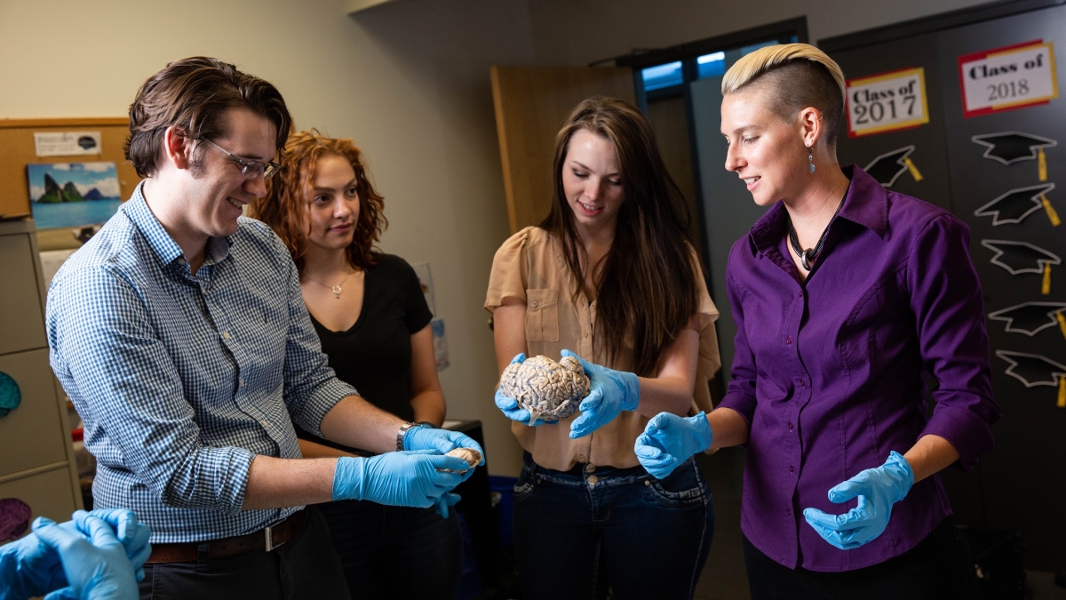 ASU’s first human MRI enables breakthrough clinical studies